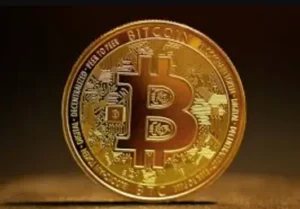 Mentorship and risk-sharing from seasoned
